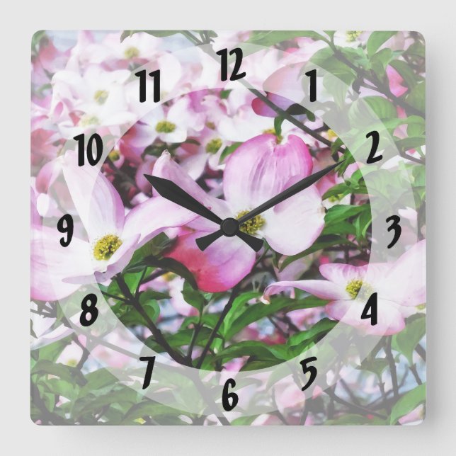 Reloj Cuadrado Flores de dogwood rosa (Anverso)