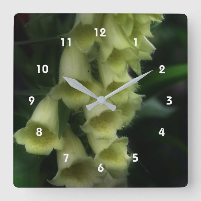 Reloj Cuadrado Flores de Foxglove Blancas Creamy (Anverso)