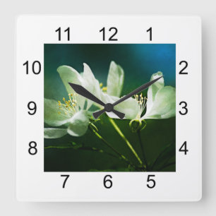 Reloj Cuadrado Flores de manzana - Dos flores