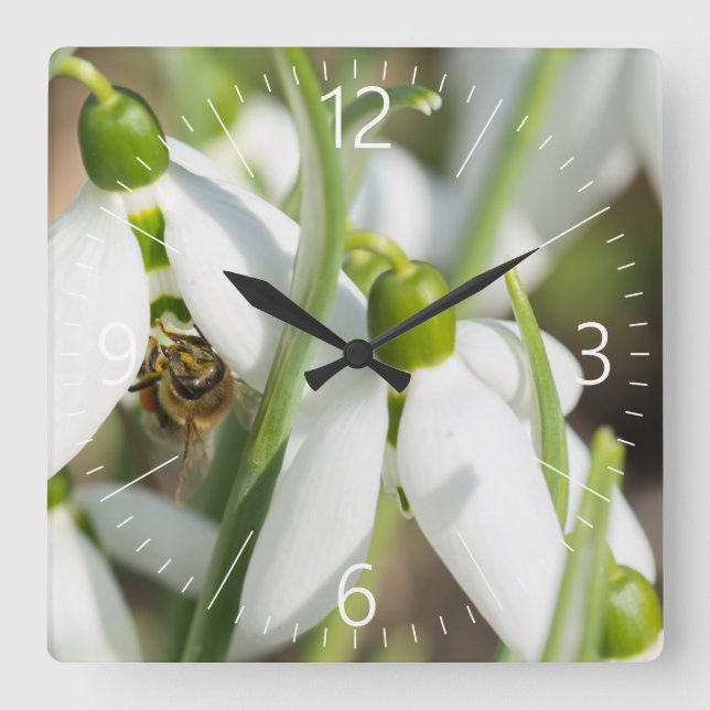 Reloj Cuadrado Flores de nieve (Anverso)