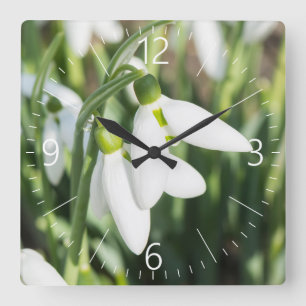 Reloj Cuadrado Flores de nieve