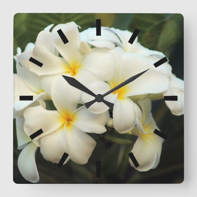 Reloj Cuadrado Flores de ramo de Frangipani (Anverso)