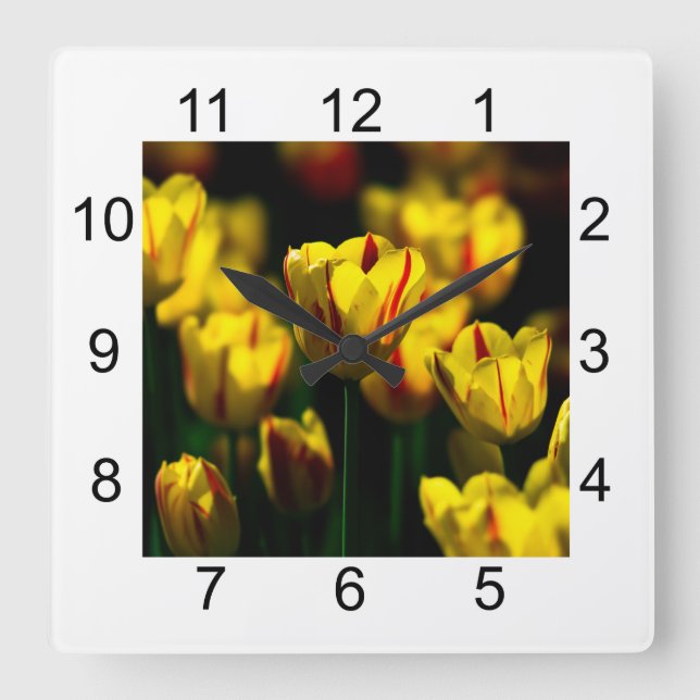 Reloj Cuadrado Flores de tulipán amarillas (Anverso)