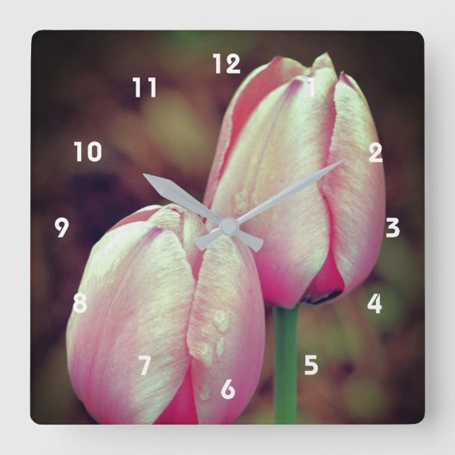 Reloj Cuadrado Flores De Tulipanes Rosadas Con Lluvias   (Anverso)