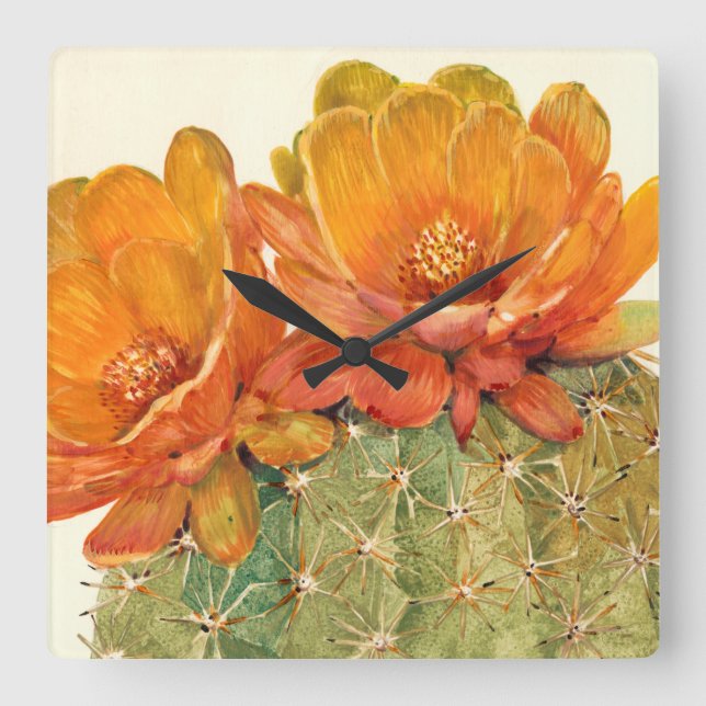 Reloj Cuadrado Flores del naranja del cactus (Anverso)