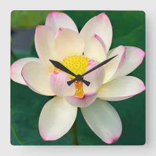 Reloj Cuadrado Flores Flor de agua Lotus