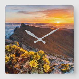 Reloj Cuadrado Flores Islas Canarias, España