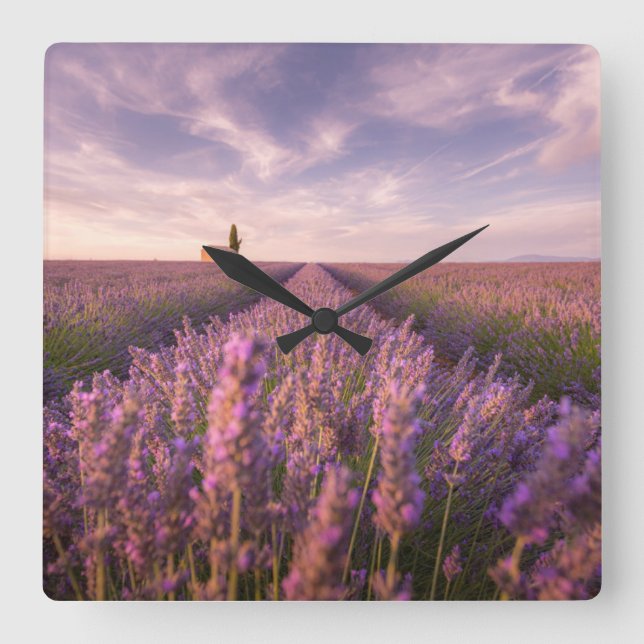 Reloj Cuadrado Flores | Lavender Southern France (Anverso)
