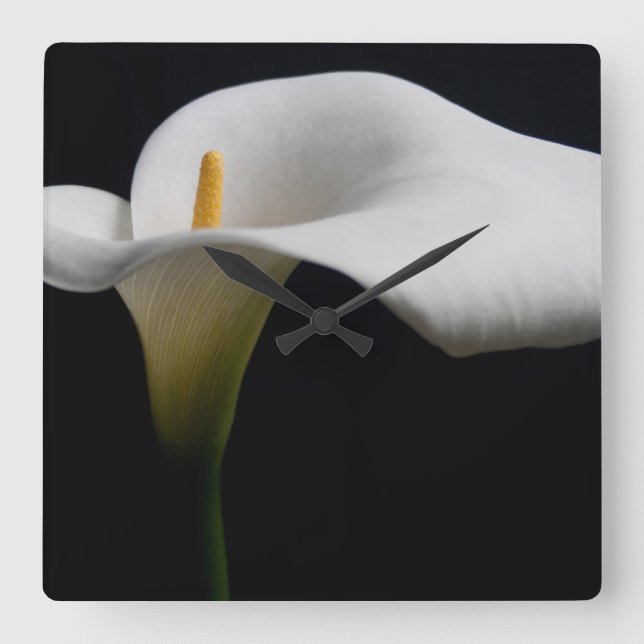 Reloj Cuadrado Flores | Lirio de Calla Blanca (Anverso)