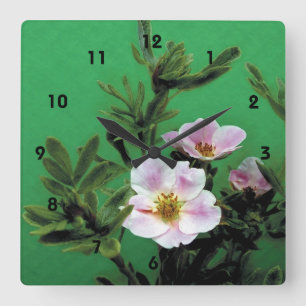 Reloj Cuadrado flores rosadas rojas salvajes en verde, Elegante