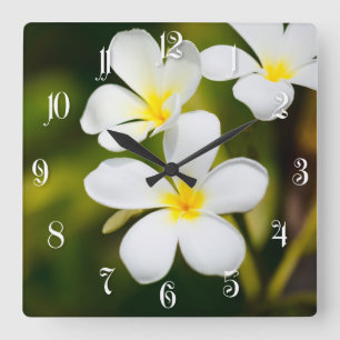 Reloj Cuadrado Flores tropicales del frangipani blanco
