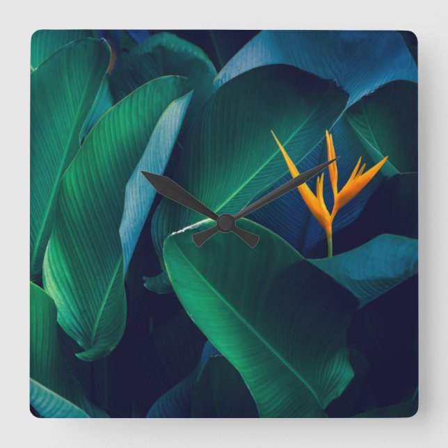 Reloj Cuadrado Flowers | Bird of Paradise (Anverso)