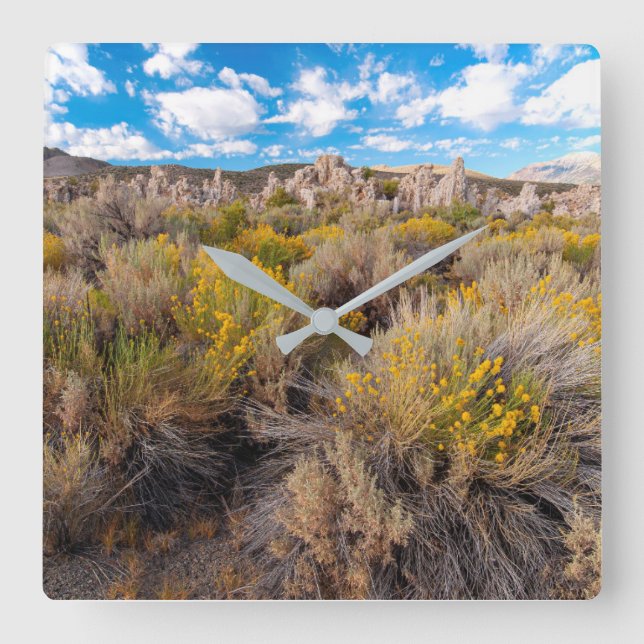 Reloj Cuadrado Flowers | Blooming Sagebrush California (Anverso)