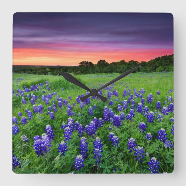 Reloj Cuadrado Flowers | Bluebonnets at Sunset Texas (Anverso)