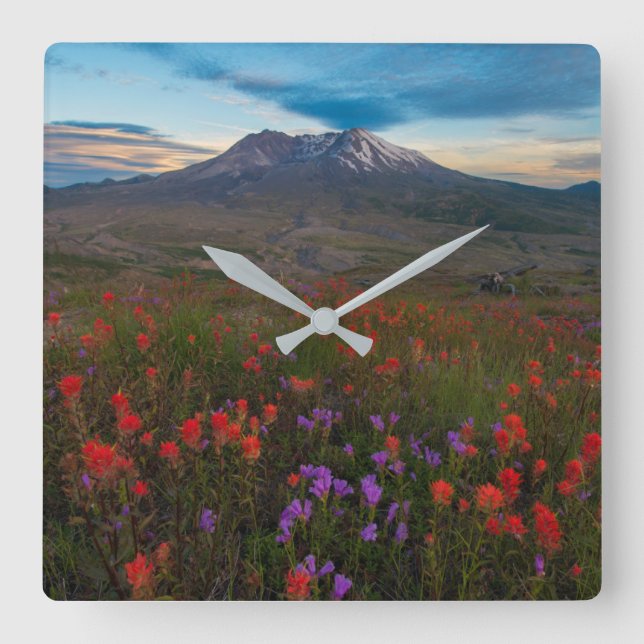 Reloj Cuadrado Flowers | Indian Paintbrush & Penstemon (Anverso)