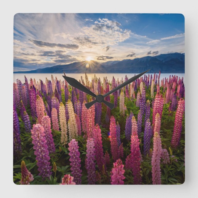 Reloj Cuadrado Flowers | Lupines New Zealand (Anverso)