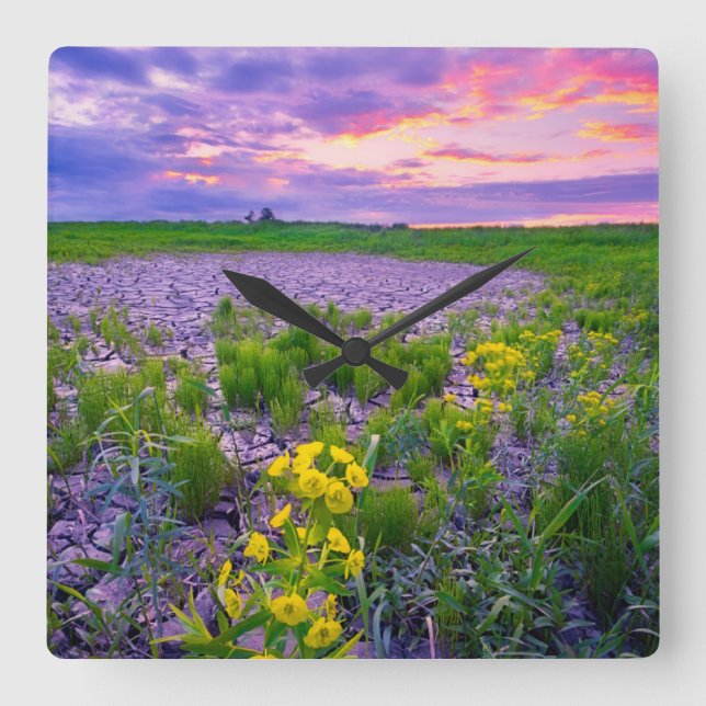 Reloj Cuadrado Flowers | North Dakota Red River Valley (Anverso)