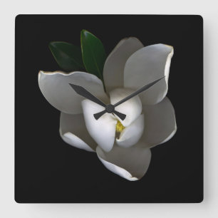 Reloj Cuadrado Flowers   Single White Magnolia Blossom