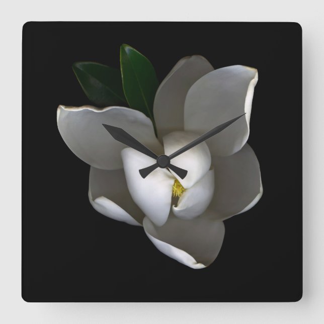 Reloj Cuadrado Flowers | Single White Magnolia Blossom (Anverso)