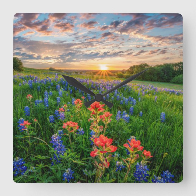Reloj Cuadrado Flowers | Texas Bluebonnets & Indian Paintbrush (Anverso)