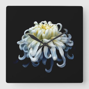 Reloj Cuadrado Flowers   White Chrysanthemum