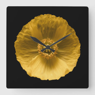Reloj Cuadrado Flowers   Yellow Poppy