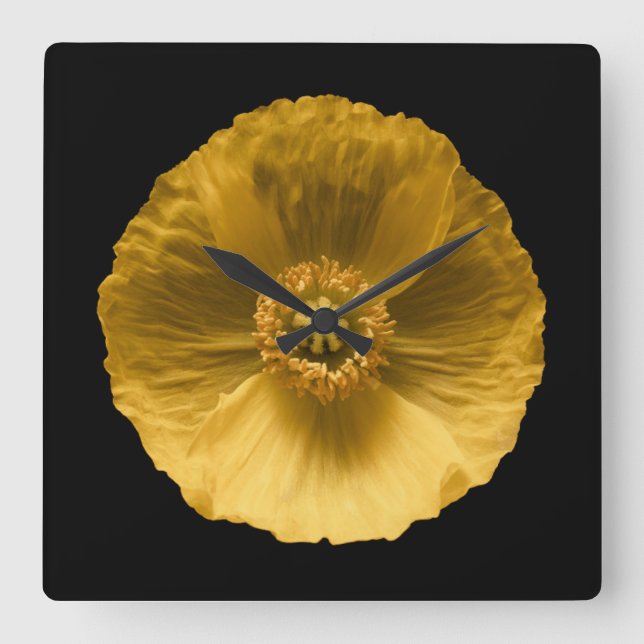 Reloj Cuadrado Flowers | Yellow Poppy (Anverso)