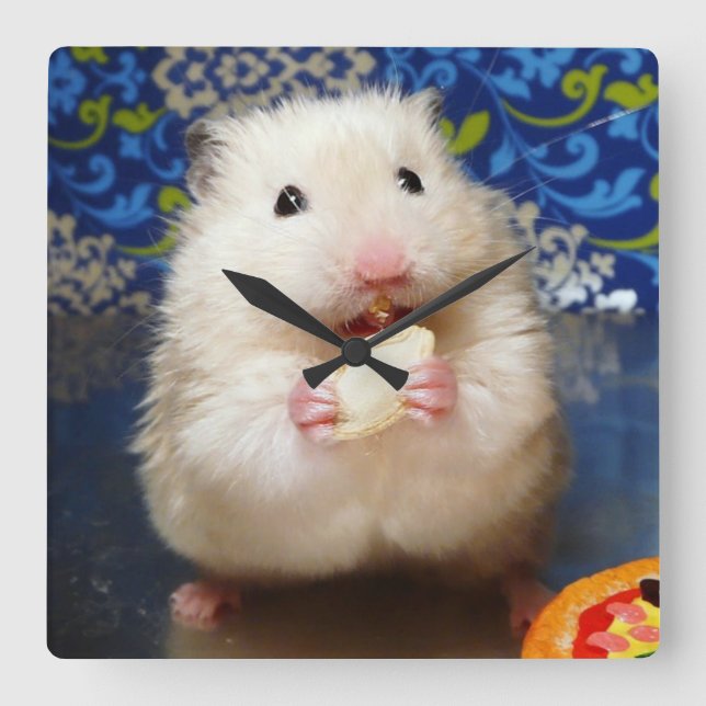 Reloj Cuadrado Fluffy Syrian Hamster Kokolinka (Anverso)