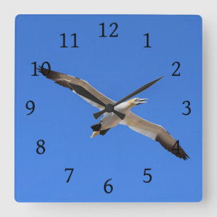 Reloj Cuadrado Flying Gannet Bird Blue Sky