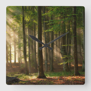 Reloj Cuadrado Forests   Autumn Forest