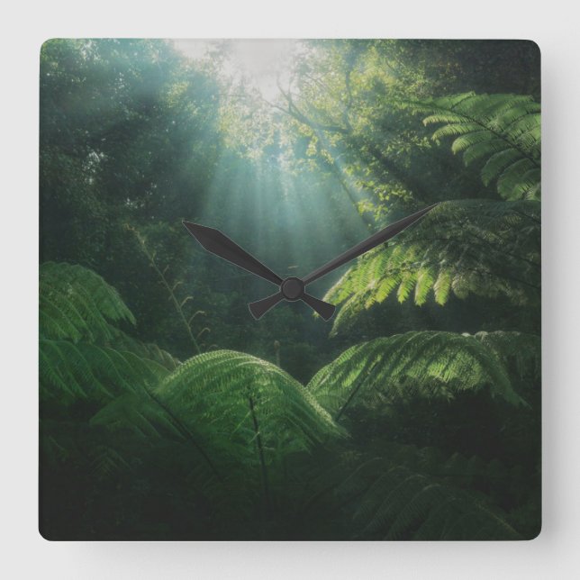 Reloj Cuadrado Forests | Ferns in Rainforest (Anverso)
