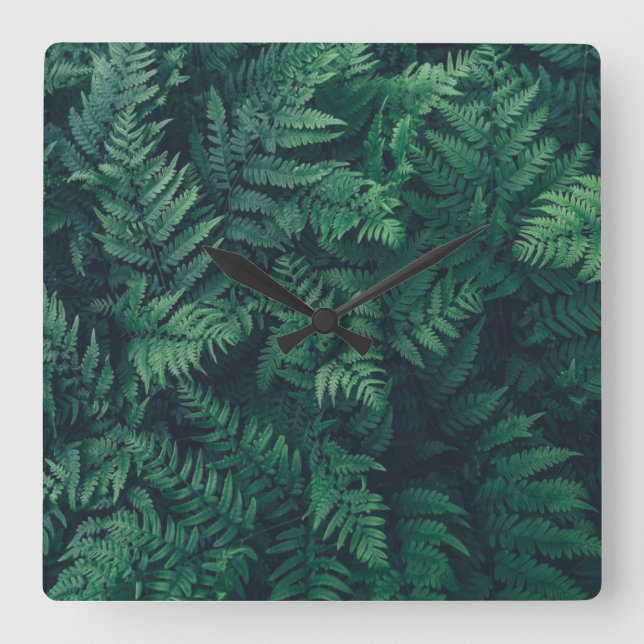 Reloj Cuadrado Forests | Woodland Ferns (Anverso)