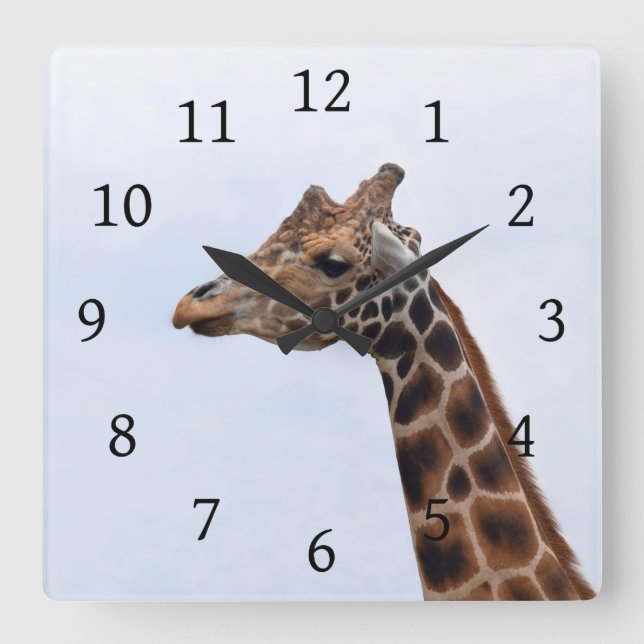 Reloj Cuadrado Foto 106 Giraffe (Anverso)