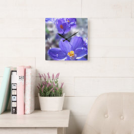 Reloj Cuadrado Foto de Crocus Purple Flowers