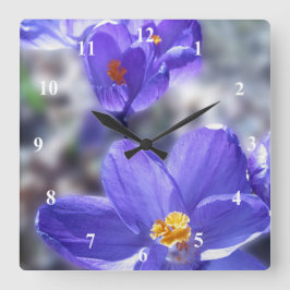 Reloj Cuadrado Foto de Crocus Purple Flowers