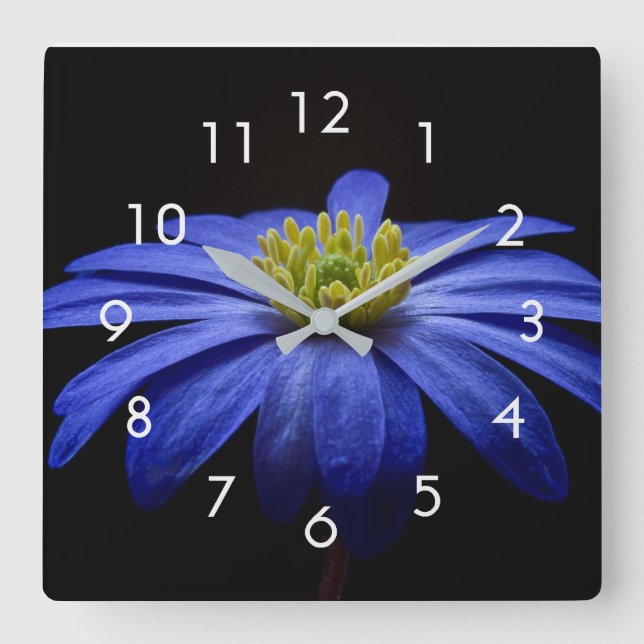 Reloj Cuadrado Foto de Flor Azul en Black Wall Clock (Anverso)