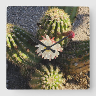 Reloj Cuadrado Foto de flor de cactus