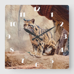 Reloj Cuadrado foto de leopardo nebuloso naturaleza vida silvestr