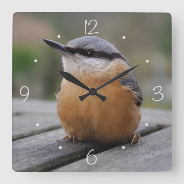 Reloj Cuadrado Foto de Nuthatch (Anverso)