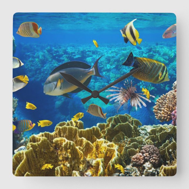 Reloj Cuadrado Foto de un pescado tropical en un arrecife de (Anverso)