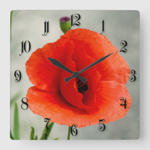 Reloj Cuadrado Foto de una sola flor de amapola