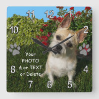 Foto Mascota personalizada Ideas de regalo para am