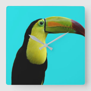 Reloj Cuadrado Foto moderna de animales tropicales turcos