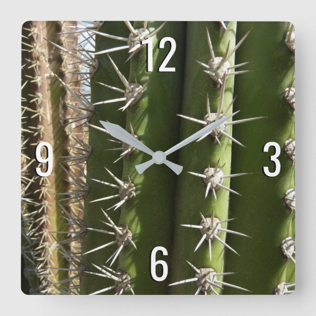 Reloj Cuadrado Foto natural del desierto de Cactus II de Barrel (Anverso)