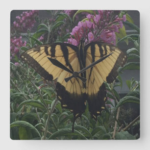 Reloj Cuadrado Foto personalizada mariposa amarilla y negra