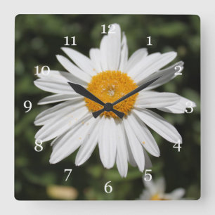 Reloj Cuadrado foto popular de flor, bonito de margarita blanca