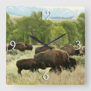 Reloj Cuadrado Fotografía de animales de la naturaleza de Wyoming