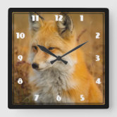 Relojes de pared motivo zorro - Acabado Premium Garantizado
