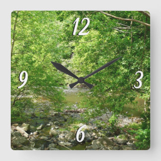 Reloj Cuadrado Fotografía de la naturaleza de Maryland con vistas