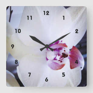 Reloj Cuadrado Fotografía de Orquídea Blanca